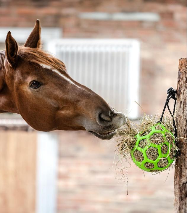 Actual product image Waldhausen Hay ball
