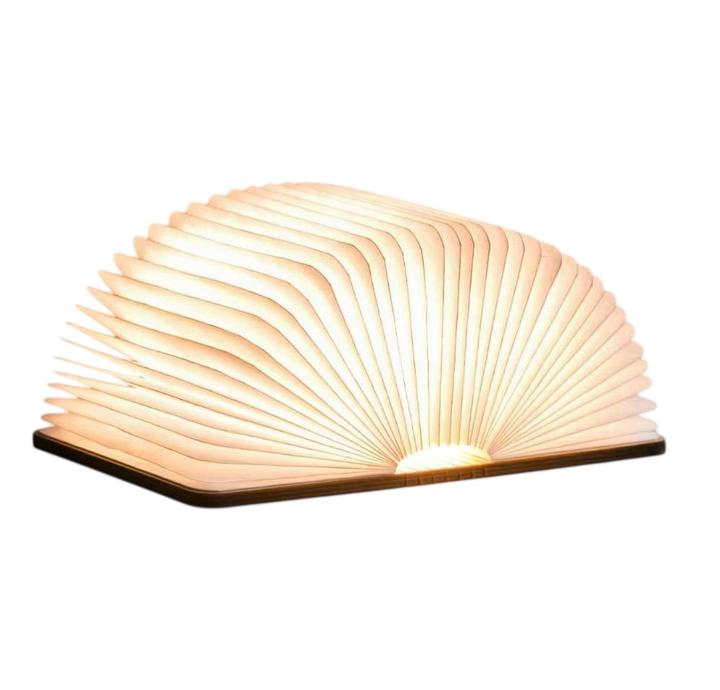 Actual product image Gingko smart book