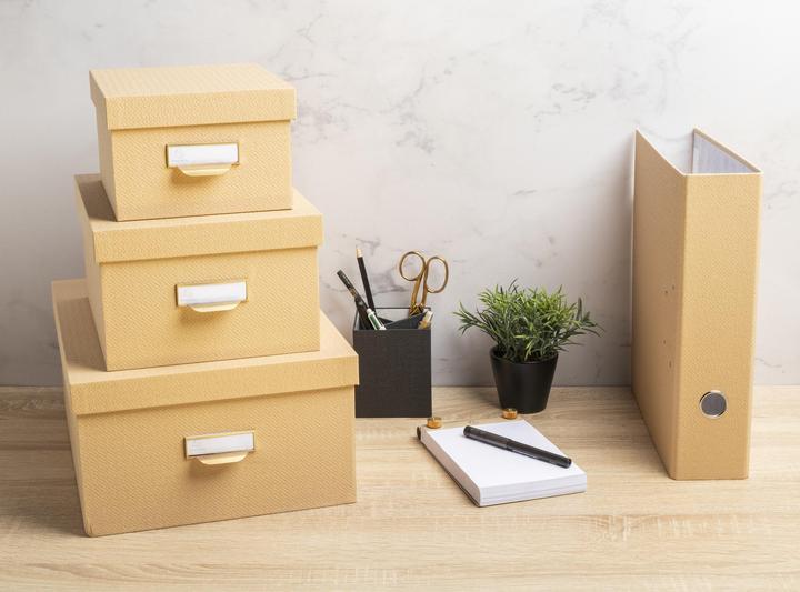 Actual product image Exacompta Classeur à levier Prem'Touch OfficeByMe dos 80mm - Beige (A4, 80 mm, 1 pcs.)