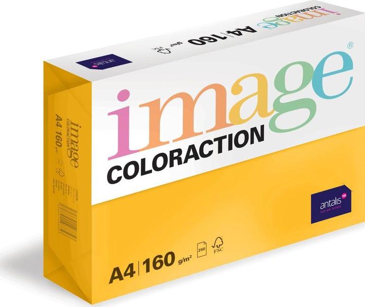 Image du produit Image Papier à copier Hawai A4 (A4, 250 feuilles, 160 g/m²)