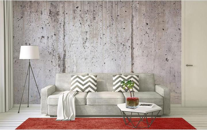 Livingwalls Designwalls Concrete Wall en aspect béton (350 x 255 cm)