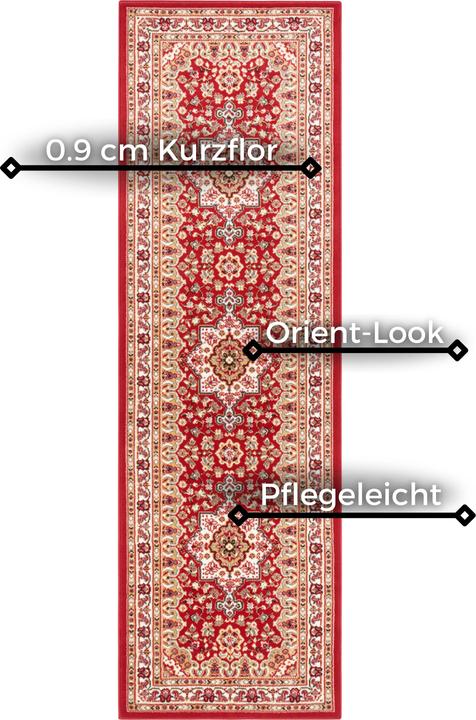 Immagine prodotto Hanse Home Parun Tabriz (250 x 80 cm)