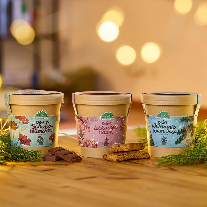 Actual product image Die Stadtgärtner 2er-Set Wunderschöne Schokoblumen Anzucht-Set im Becher