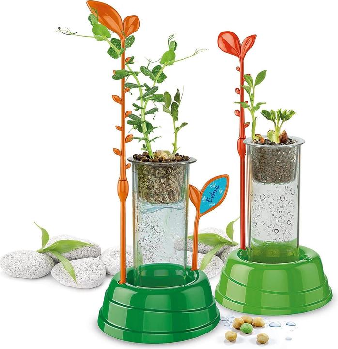 Actual product image Clementoni Botany and hydroponics