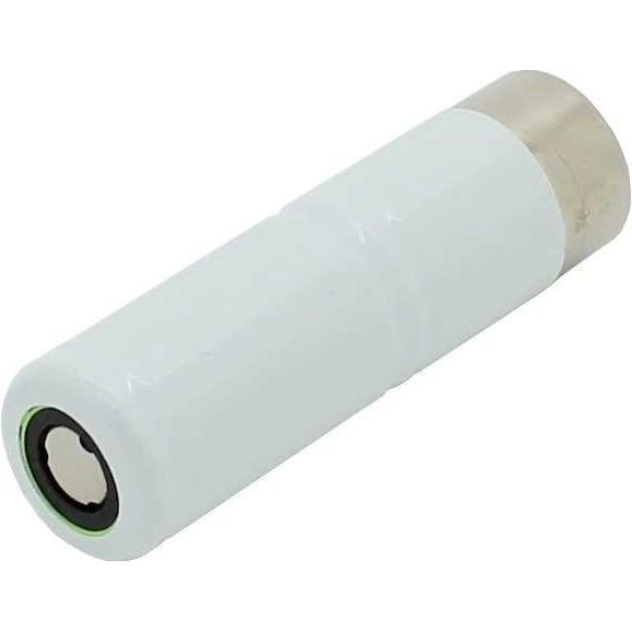 AccuCell AkkuNiMH L1x2 GP110AFH für Rowenta Dentasonic (1100 mAh), Batterien + Akkus