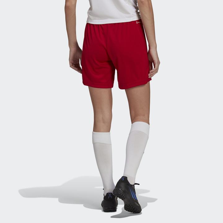 Image du produit adidas Short Entrada 22 Femmes (S)