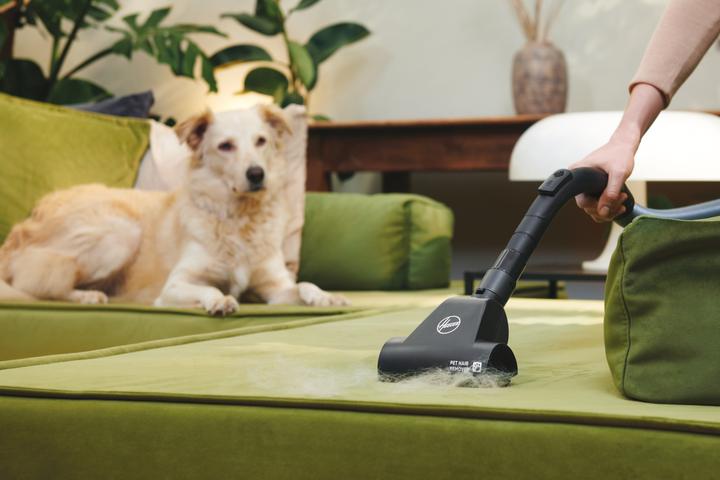 Actual product image Hoover TXL80PET 011