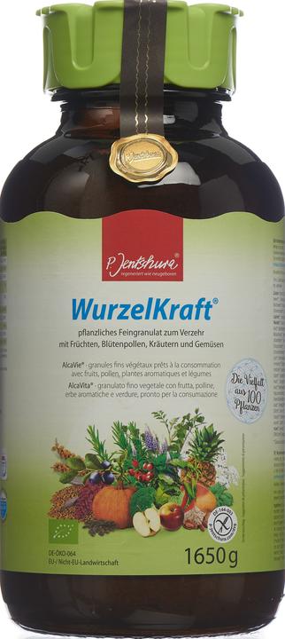 Produktbild Jentschura WurzelKraft (1 Stück, Flüssigkeit, 1650 g)