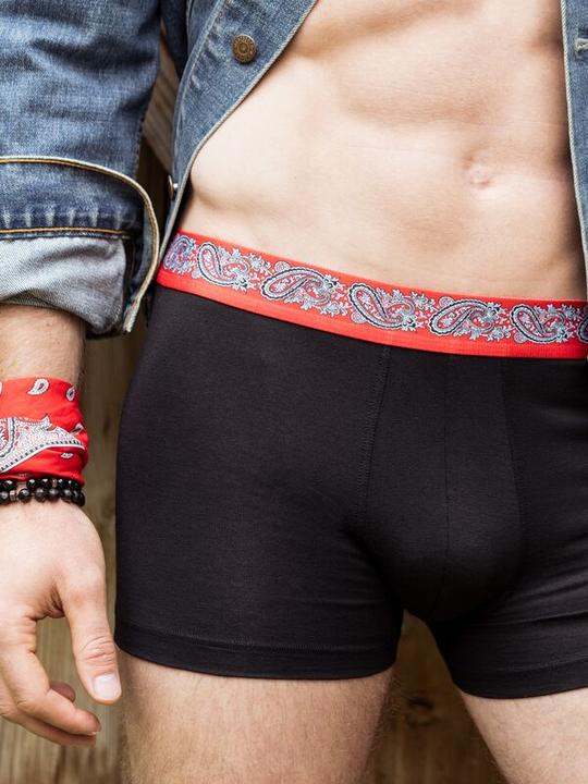 Immagine prodotto ISA Bodywear Schwingerkollektion Pant (L)