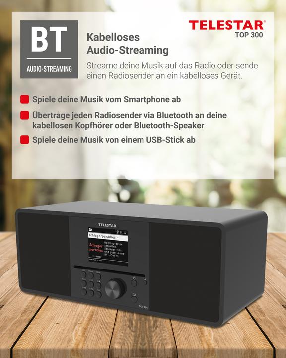 Actual product image Telestar Top 300 (DAB+, FM, Web radio, Bluetooth, Wi-Fi)