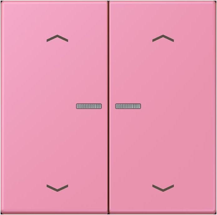 Rose Vif