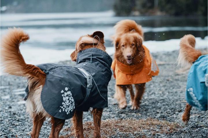 Actual product image Hurtta Monsoon raincoat dark grey (65, M, L, Dog raincoat)