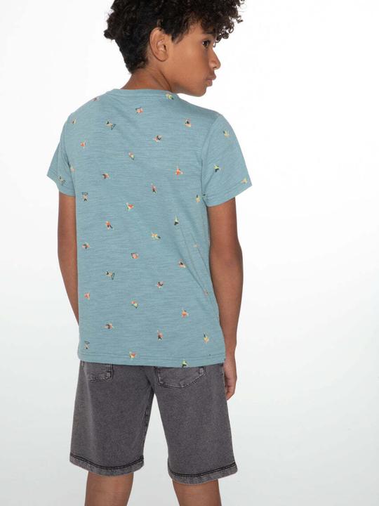 Image du produit Protest Short Orlin (164)