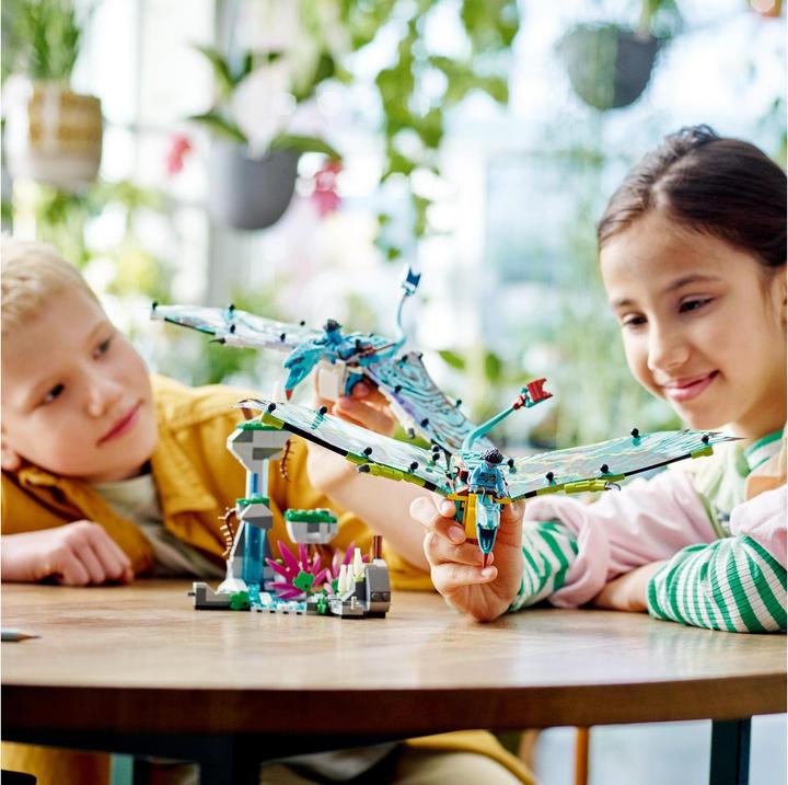 Actual product image LEGO Jakes und Neytiris erster Flug auf einem Banshee (75572, LEGO Rare Sets)