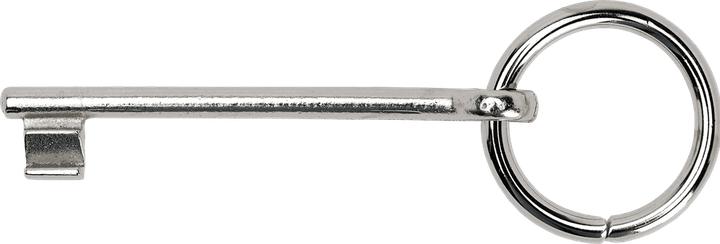 Actual product image Schänis Ring spanner 7355 No. 6