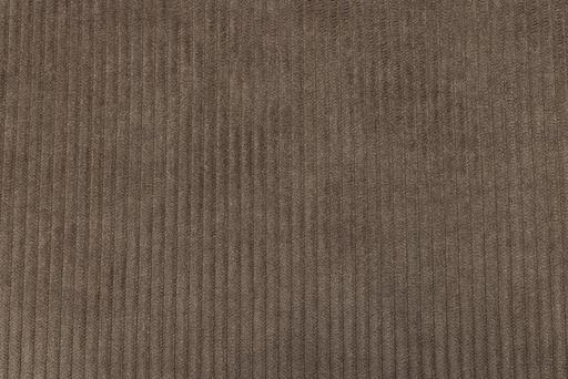 Actual product image Beeztees Veo (Dog)