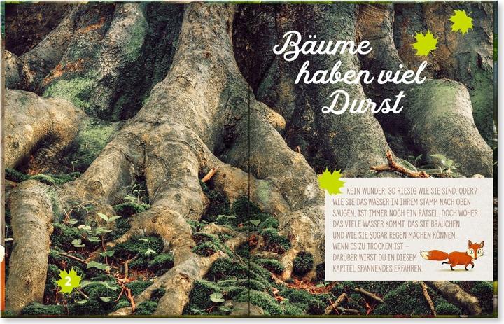 Produktbild Hörst du, wie die Bäume sprechen? Eine kleine Entdeckungsreise durch den Wald (Deutsch, Peter Wohlleben, 2017)