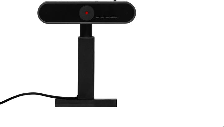 Actual product image Lenovo ThinkVision M50 (2 Mpx)