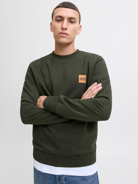 Produktbild Jack & Jones Jjbrandy Sweat Crew Neck Ln (XXL)