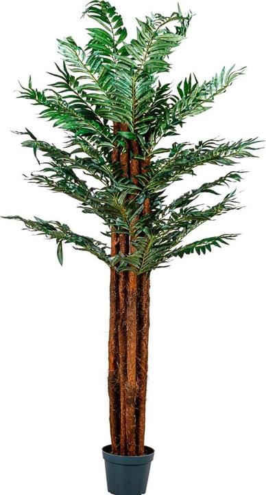 Plantasia Kunstpflanze Areca-Palme 180 cm - kaufen bei Galaxus