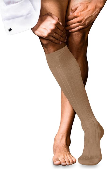 Immagine prodotto Falke No. 2 KH