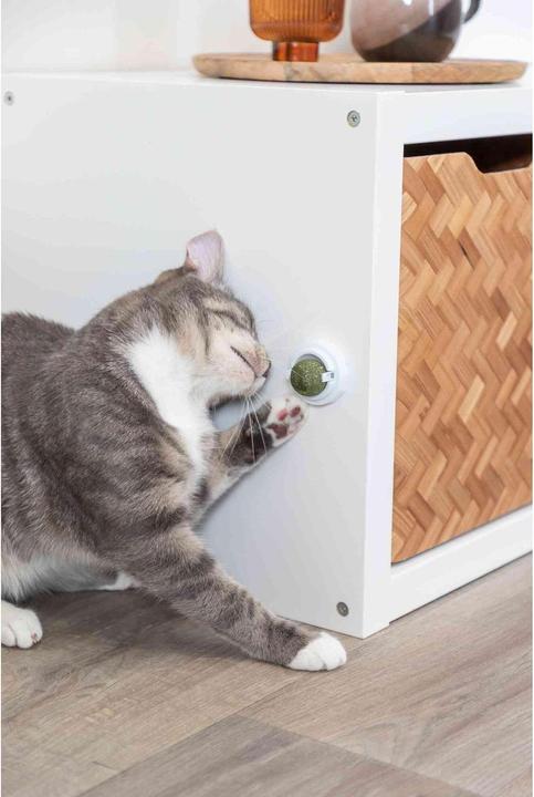 Immagine prodotto Trixie Palla di erba gatta (Palla giocattolo per gatti)