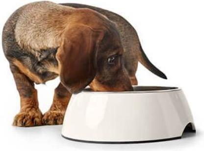 Produktbild Hunter Melamin-Napf (0.16 l)