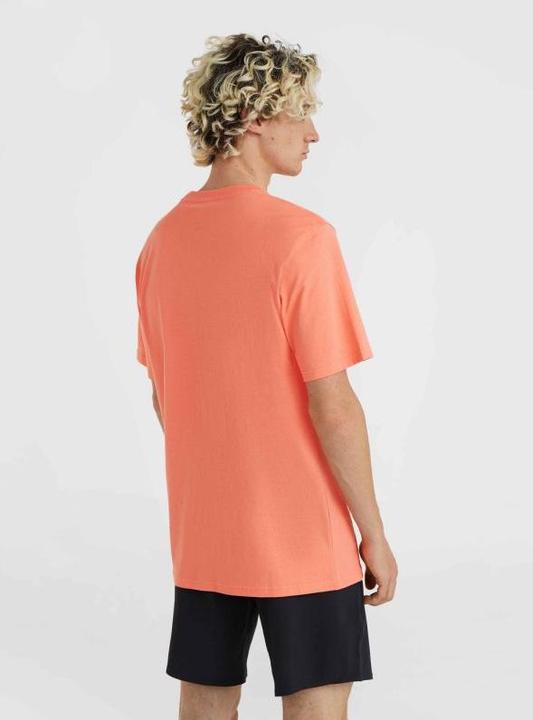 Immagine prodotto O'Neill T-Shirt Jack Neon (L)