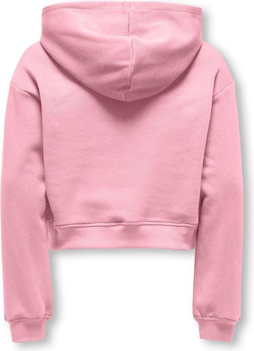 Produktbild Only KOGSWEAT Sweatshirt Kapuzenpullover (110, 116)