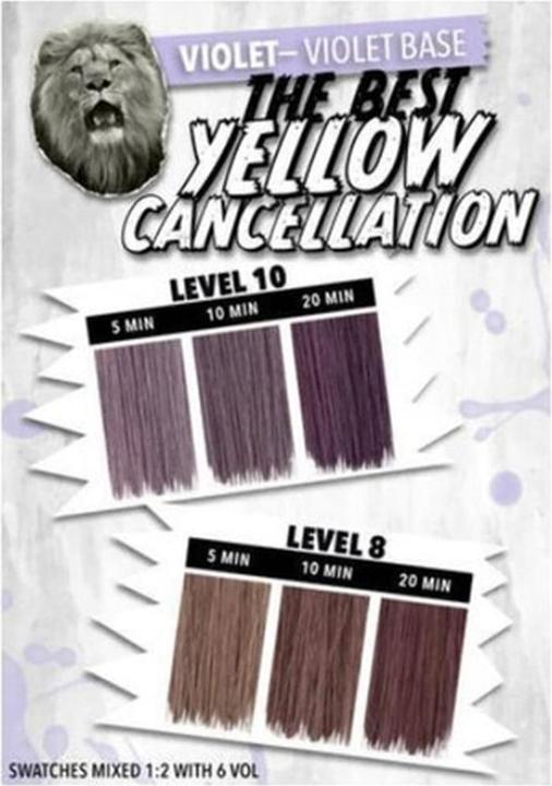 Produktbild Pulpriot High Speed Toner Violet (Violett)