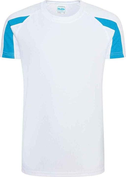 Blu zaffiro, Bianco artico