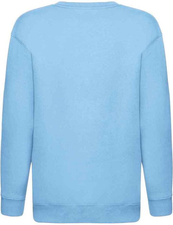Actual product image Fruit of the Loom Childrens/Kids Premium Drop Shoulder Sweatshirt (164, 170)
