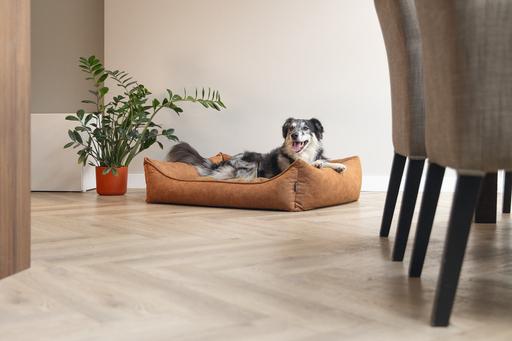 Image du produit Beeztees Orthopädisches Hundeliegebett (Chien)
