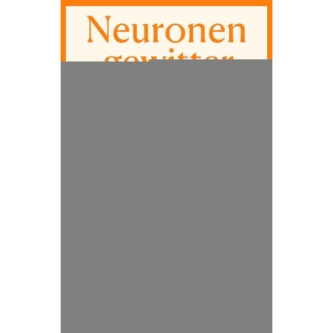 Thumbnail - Neuronengewitter, Ratgeber von Ursula Frühe