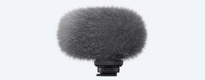 Immagine prodotto Sony ECM-G1