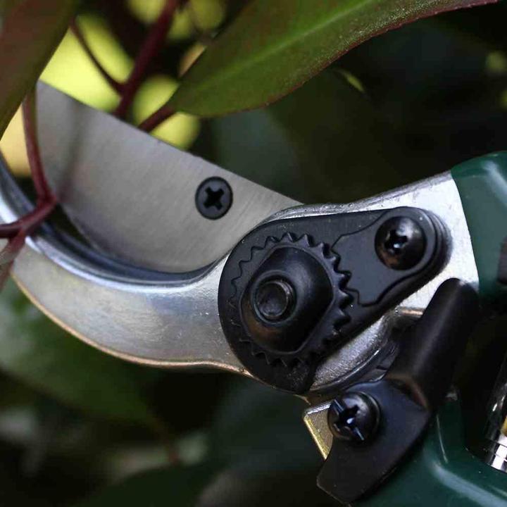 Productafbeelding Siena Garden Allzweckschere