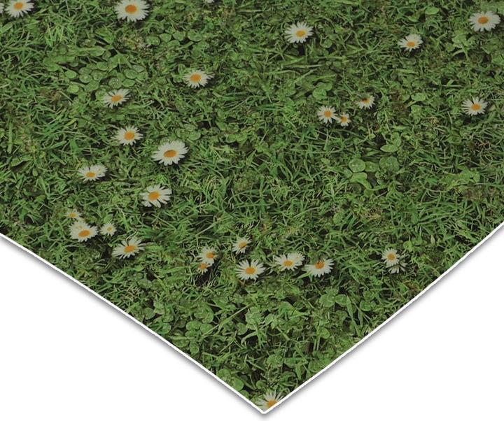 Image du produit Karat Daisies