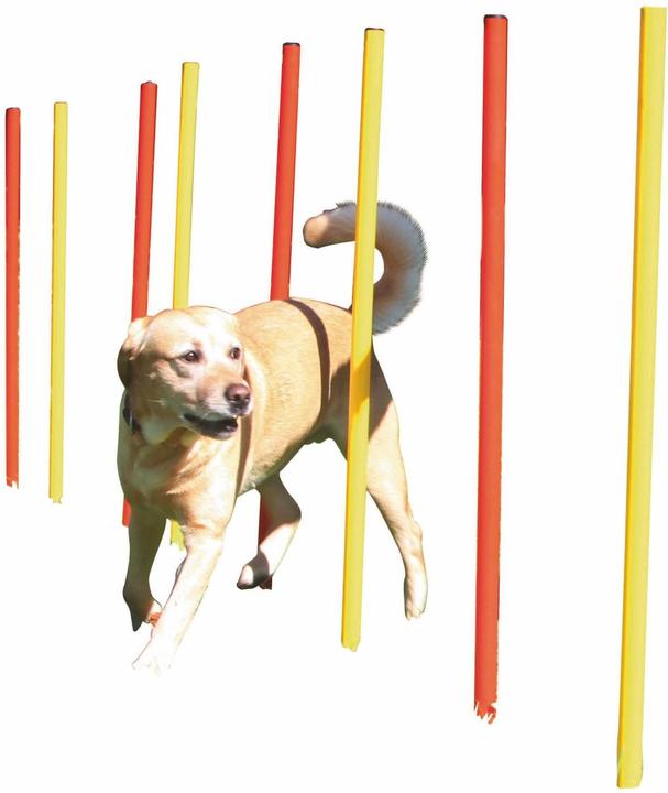 Actual product image Kerbl Complete set (One size, Agility)