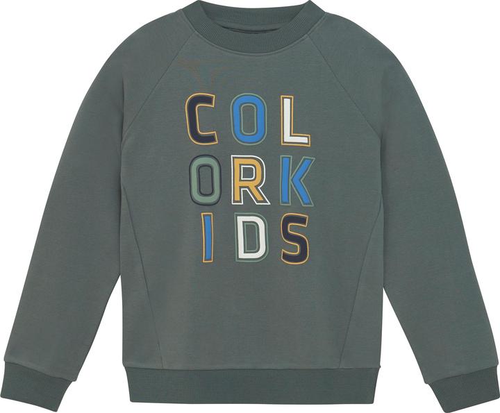 Produktbild Color Kids Logo Print (128)