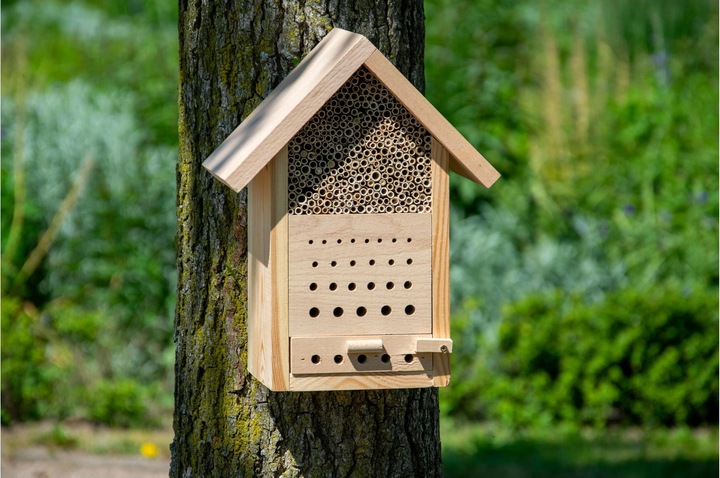 Actual product image Dobar Maja (Bee)