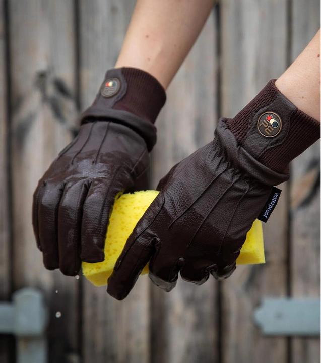 Actual product image Premier Equine Dajour (XS)