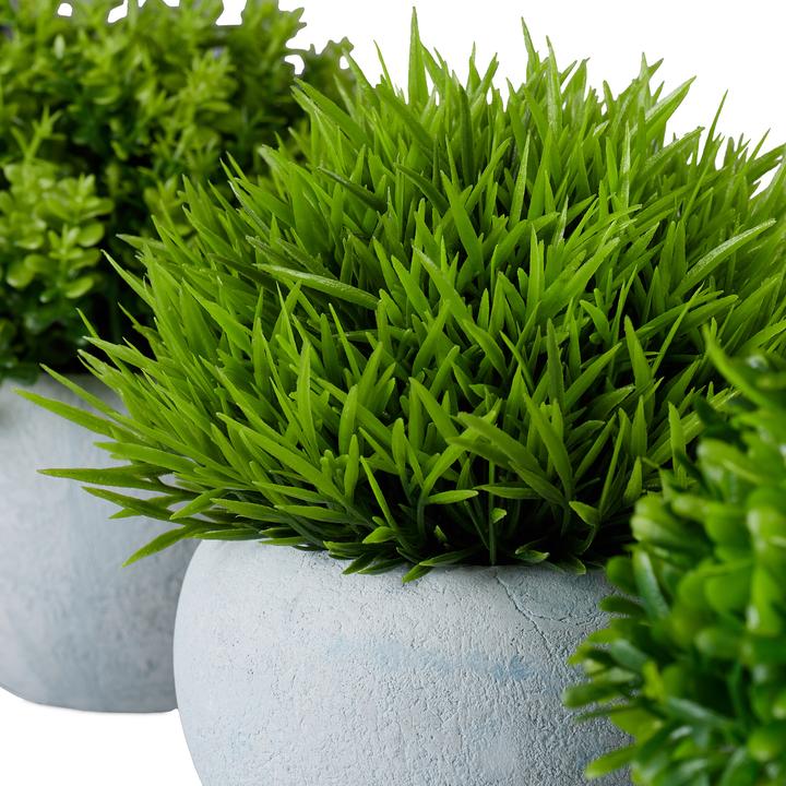 Image du produit Relaxdays Set de plantes artificielles (12 cm)