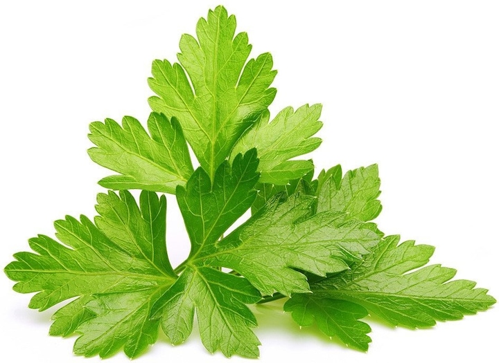 Image du produit Click and Grow Coriandre (Graines d'herbes aromatiques)