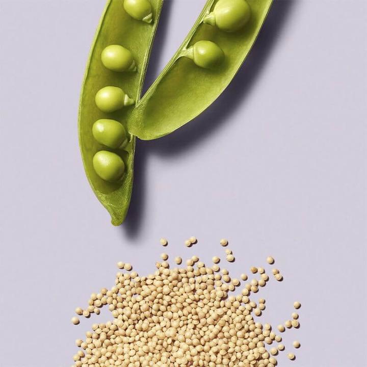 Actual product image Paul Mitchell Repair Conditioner (250 ml)