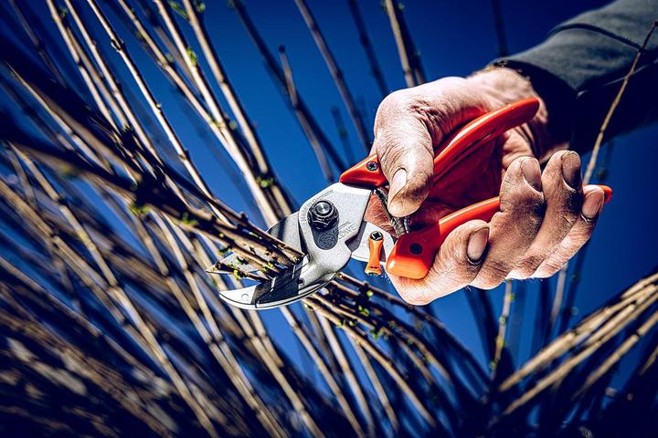 Actual product image Löwe Original 8 standard handle