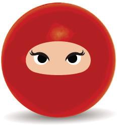 Produktbild Roost Spitzer Ninja