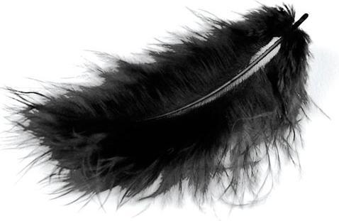 Actual product image Glorex Marabou feathers black