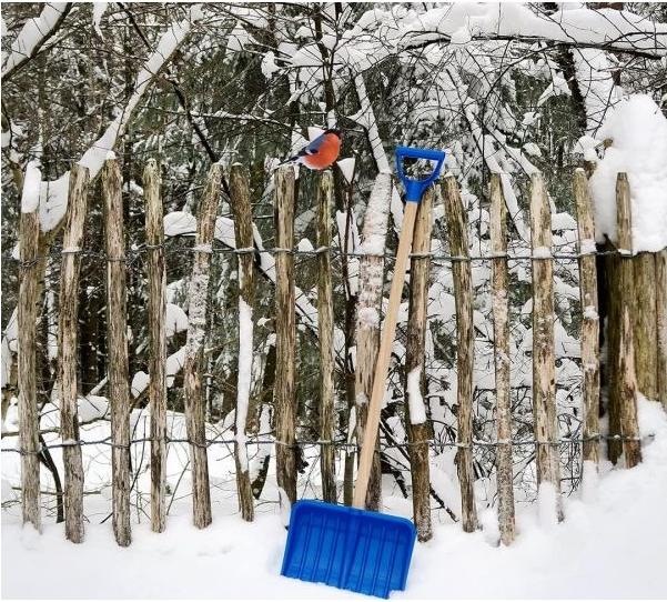 Actual product image Theo Klein Pure Fresh snow shovel