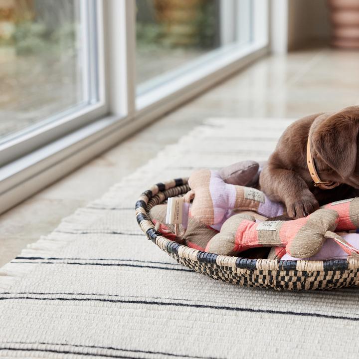 Immagine prodotto OYOY Zoo ZOO - Giocattolo per cani Ashi grande - Blu scuro/marrone (Z60071) (Cane di peluche)