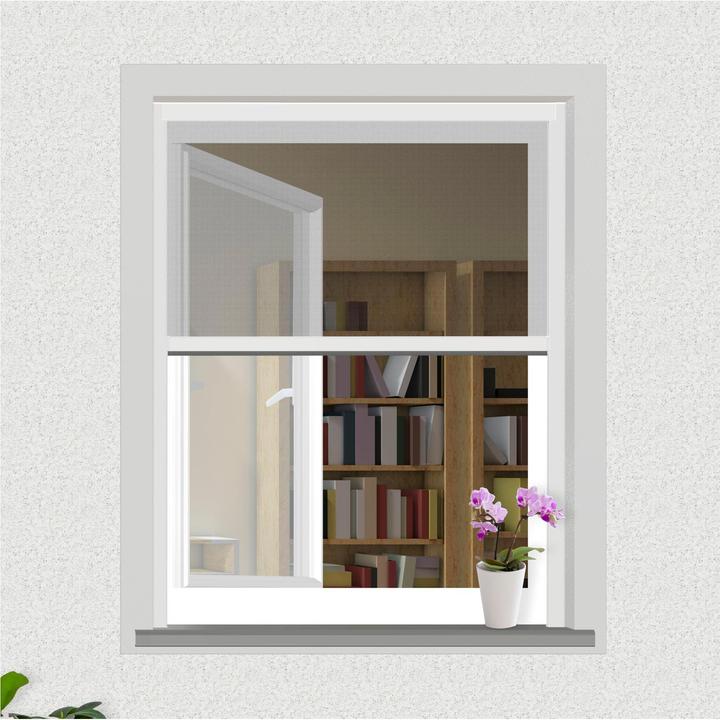 Image du produit Windhager Moustiquaire enroulable pour fenêtre (100 x 160 cm)